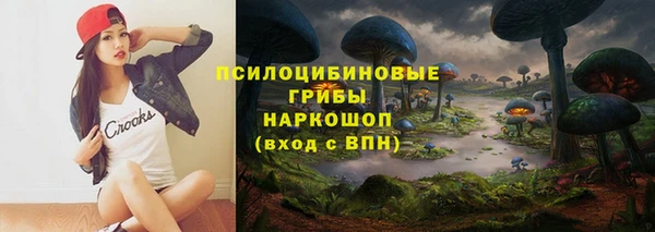 гидропоника Алзамай