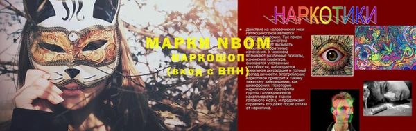 шишки Зерноград