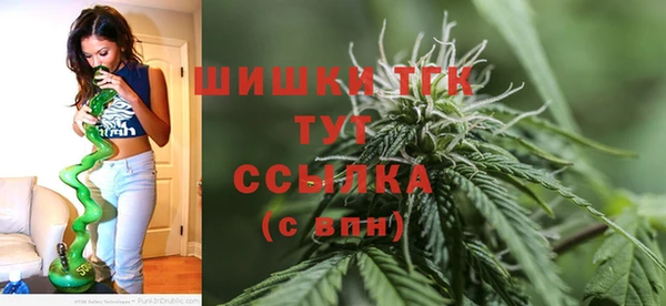 дмт Зеленодольск