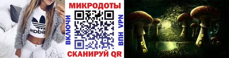 Галлюциногенные грибы Cubensis OMG сайт Златоуст где купить наркотик